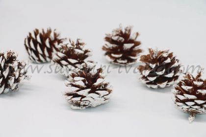 истински шишарки за декорация със заснежен ефект